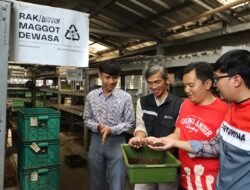 Pertamina Patra Niaga RJBB Perkuat Rumah Maggot Campaka, Dukung Pengelolaan Sampah di Kota Bandung