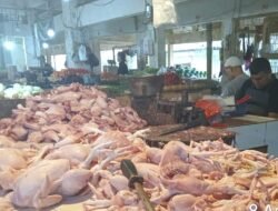 Harga Daging Ayam di Sukabumi Naik Jadi Rp 40.000 per Kilogram