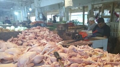 Harga Daging Ayam di Sukabumi Naik Jadi Rp 40.000 per Kilogram