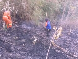 Kebakaran Lahan Terjadi di Cikundul Sukabumi, BPBD dan Damkar Bergerak Padamkan Api