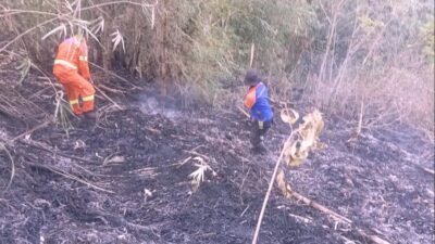 Kebakaran Lahan Terjadi di Cikundul Sukabumi, BPBD dan Damkar Bergerak Padamkan Api