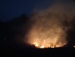 Kebakaran Lahan di Simpenan Sukabumi, 5.000 Meter Persegi Terbakar dan 30 Rumah Terancam