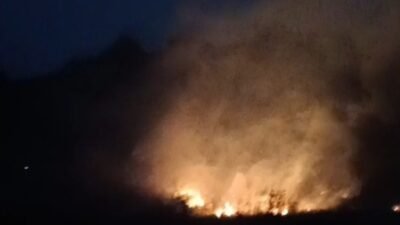 Kebakaran Lahan di Simpenan Sukabumi, 5.000 Meter Persegi Terbakar dan 30 Rumah Terancam