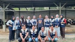 KKN MAs Kelompok 39 Dalami Potensi Peternakan Sapi Perah di Podojoyo Farm