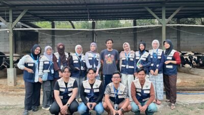 KKN MAs Kelompok 39 Dalami Potensi Peternakan Sapi Perah di Podojoyo Farm