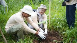 Pertamina Patra Niaga RJBB Lestarikan Pohon Endemik melalui Program Konservasi Saninten Lestari