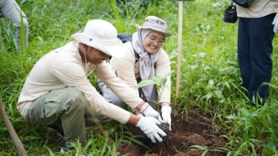 Pertamina Patra Niaga RJBB Lestarikan Pohon Endemik melalui Program Konservasi Saninten Lestari