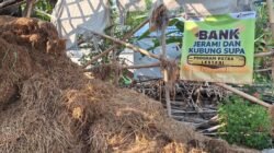 Pertamina Patra Niaga Dorong Ekonomi Sirkular di Karawang, Membuka Peluang Melalui Limbah Jerami