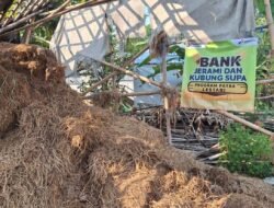 Pertamina Patra Niaga Dorong Ekonomi Sirkular di Karawang, Membuka Peluang Melalui Limbah Jerami