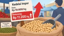 Harga Kedelai Impor di Sukabumi Naik, Tembus Rp 11.200 per Kilogram