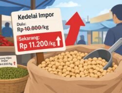 Harga Kedelai Impor di Sukabumi Naik, Tembus Rp 11.200 per Kilogram