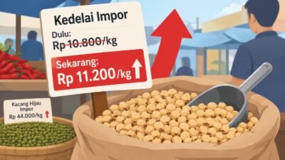 Harga Kedelai Impor di Sukabumi Naik, Tembus Rp 11.200 per Kilogram