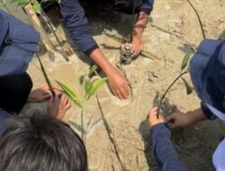 Pertamina Patra Niaga Ajak Masyarakat Tanam 500 Mangrove, Perkuat Ekosistem Pesisir Pulau Untung Jawa