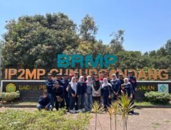 Pertamina Patra Niaga RJBB Dorong Petani Inovasi Pertanian Mangga Sliyeg Lor