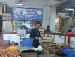 Harga Telur Ayam di Sukabumi Naik Jadi Rp 26.000 per Kilogram