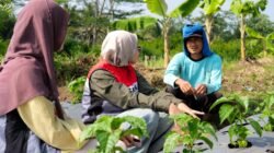 Pertamina Patra Niaga Bersama Generasi Muda Sukanagara Kembangkan Potensi Lokal Bernilai Ekonomi
