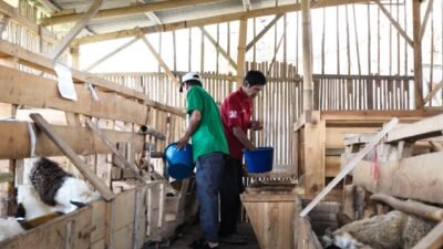 Pertamina Patra Niaga Hadirkan Dampak Nyata Pemberdayaan Dari Kelompok Rentan hingga UMKM Lokal