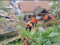 Pohon Tumbang Timpa Atap Rumah di Benteng Sukabumi, BPBD Bergerak Cepat