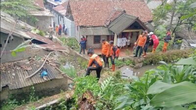 Pohon Tumbang Timpa Atap Rumah di Benteng Sukabumi, BPBD Bergerak Cepat